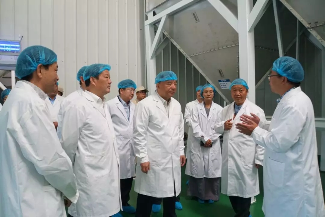 PG电子·(中国)官方网站