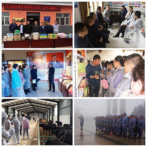 PG电子·(中国)官方网站
