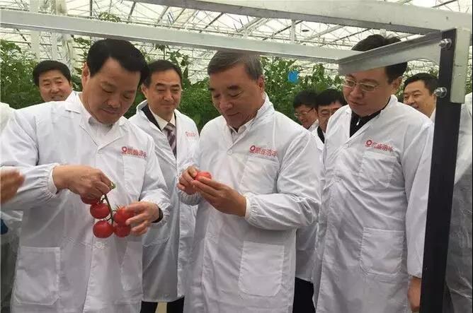 PG电子·(中国)官方网站