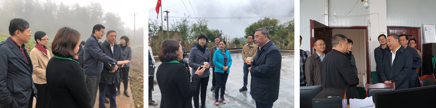 PG电子·(中国)官方网站
